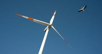 Are Industrial Wind Farms Harmful?
