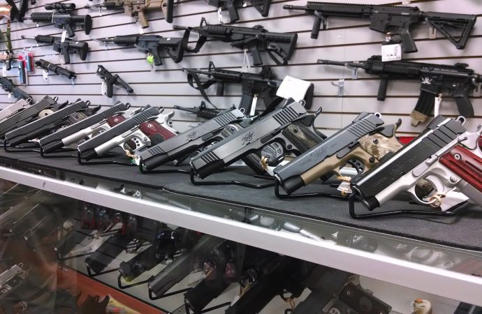 2017 is shaping up to be another winning year for gun owners